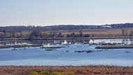 Illinois to receive part of $6.5 Million Federal Grant for nature preserves