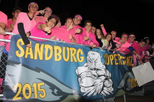 Sandburg Super Fans show their support for breast cancer at tonights Pink Out game. Sandburg defeats Joliet West 35-14 Friday Oct. 9, 2015. Copyright (C) Steve Neuhaus 2015. All Rights Reserved