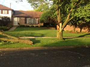 Orland Park storm lightning damage