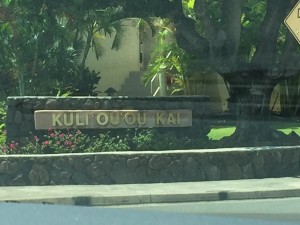 The Neighborhood where the Obama home is located in South East Honolulu