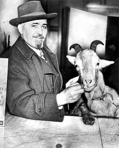 Severed goat head hung from Harry Caray statue at Wrigley Field by guano Billy Goat curse photo