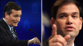 Super Tuesday Primary