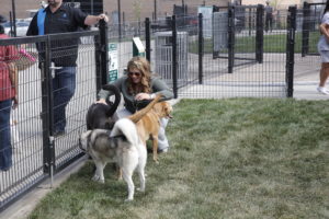 Cicero Campus Park is adjacent to the new Waggin' Tails Animal Shelter and provides a dog park with three areas: one for small dogs, one for large dogs, and one for dog training.